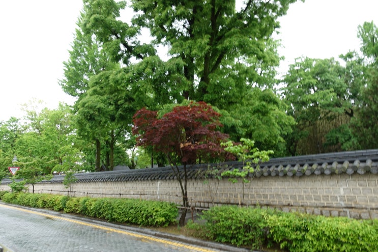  명치통증 등통증 함께 나타나는 이유