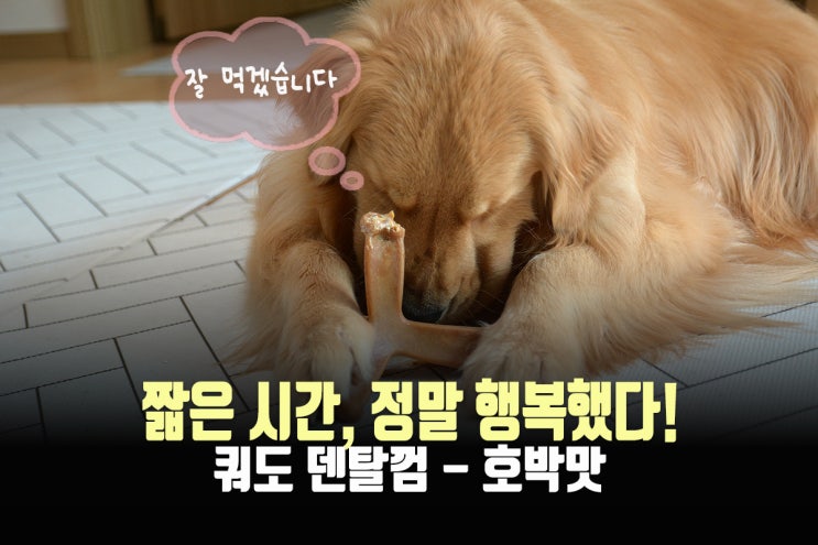  대형견개껌, 쿼도 덴탈껌으로 맛있게 즐겨보자!(내돈내산)