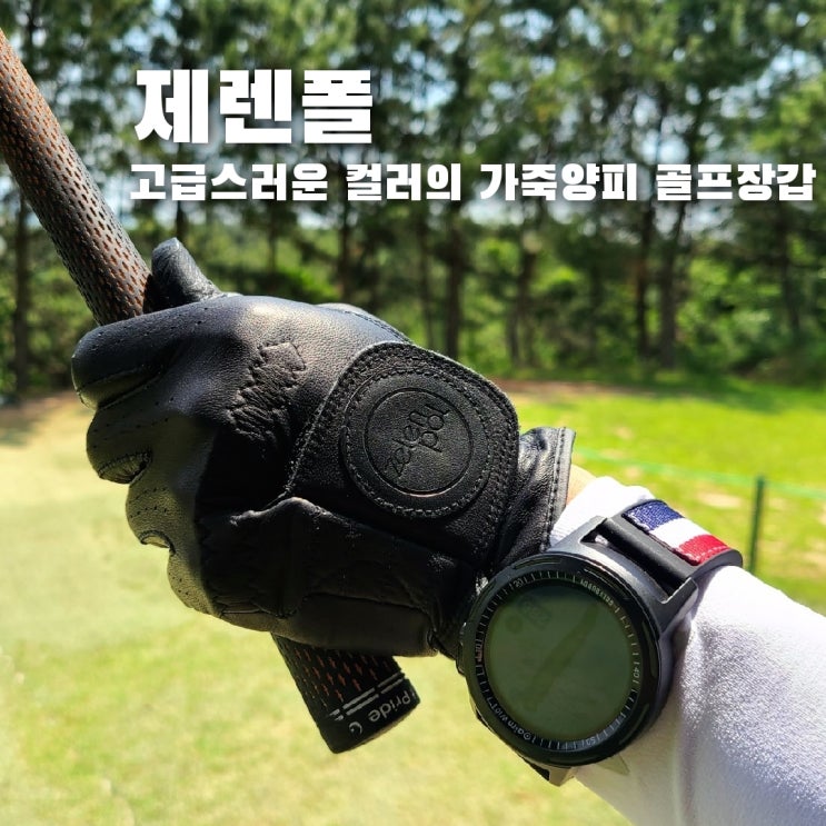  고급스러운 골프장갑, 제렌폴 가죽 양피 골프장갑