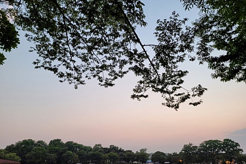 혼도(주) 이미지