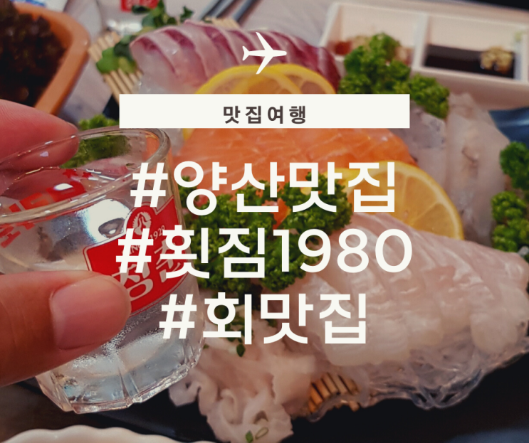  양산 맛집 횟집1980