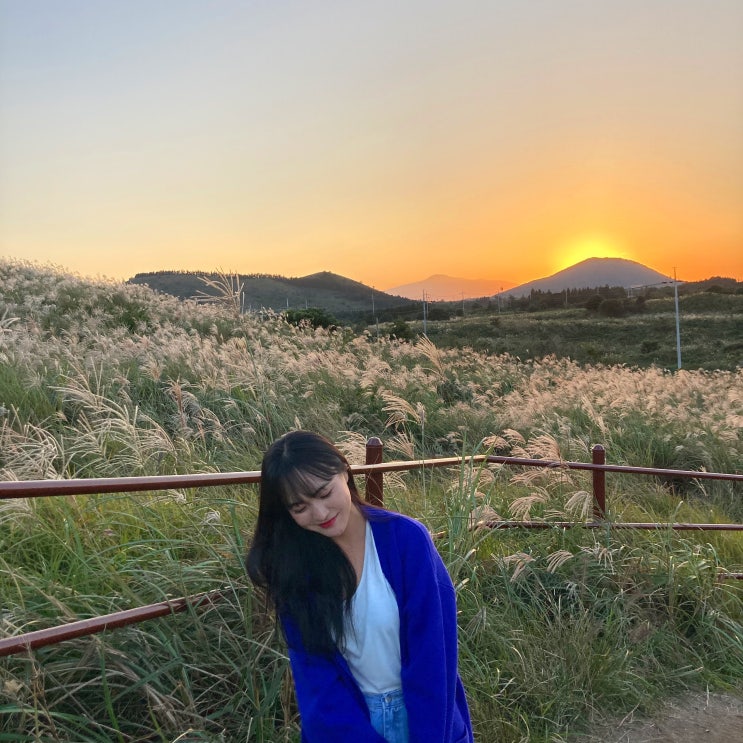  제주도 한달 살이 후기!