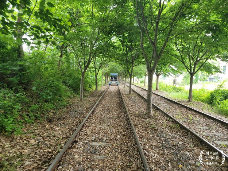  가평 레일바이크 타고 경강역까지 즐거운 가족 여행.