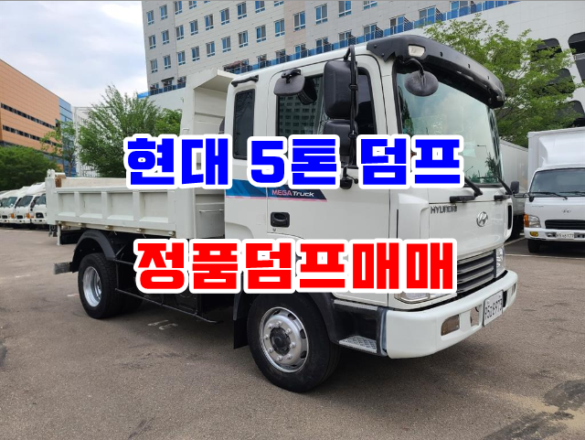  현대5톤덤프 중고 정품덤프트럭 매매