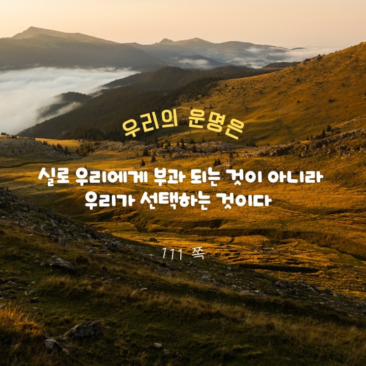 선택 선택