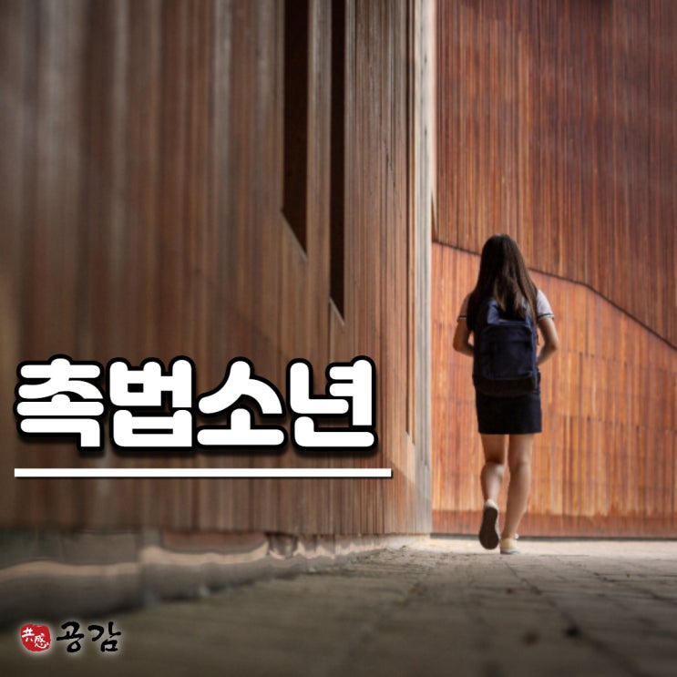 촉법소년 범죄, 소년원까지도 갈 수 있습니다. 촉법소년 범죄, 소년원까지도 갈 수 있습니다.
