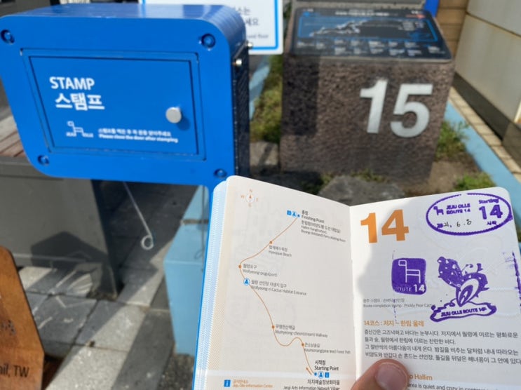  여자혼자 제주올레길 14코스 저지~한림 올레 2인 이상 가기 추천!