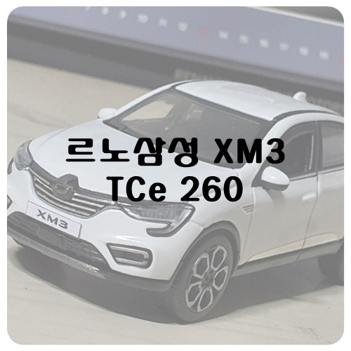  Renault Samsung XM3 TCe 260 [Custom]