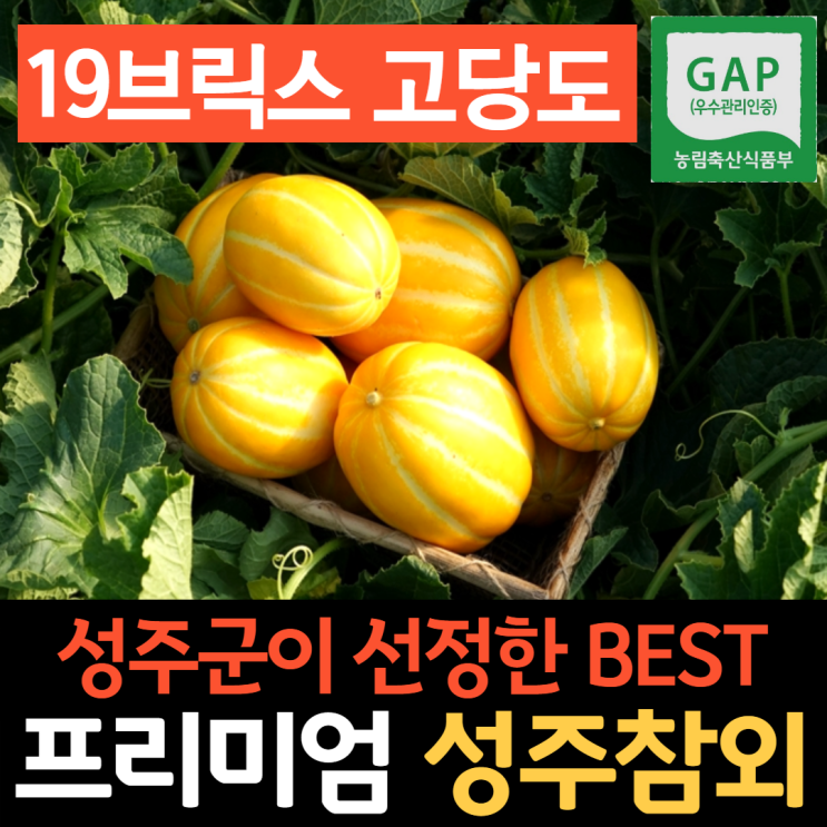 최근 인기있는 성주군이 선정한 최상위 성주 참외 가정용 선물용 달달 꿀참외 꼬마참외 3kg 5kg 10kg, 1-1. 실속 로얄과 3kg (가정용) 추천해요