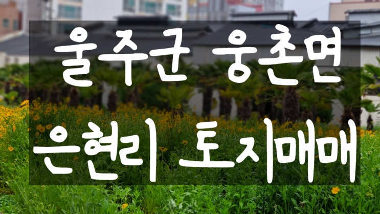 울산토지매매&gt;울주군 토지,웅촌면 토지, 은현리 토지, 부산토지매매,일광토지매매 양산토지매매 울산전원주택 부산전원주택