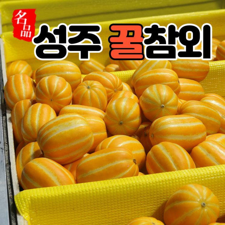 인기있는 성주 참외 직거래 꿀참외 가정용 백화점 2kg 3kg 5kg 10kg, 특 참외 2kg ···