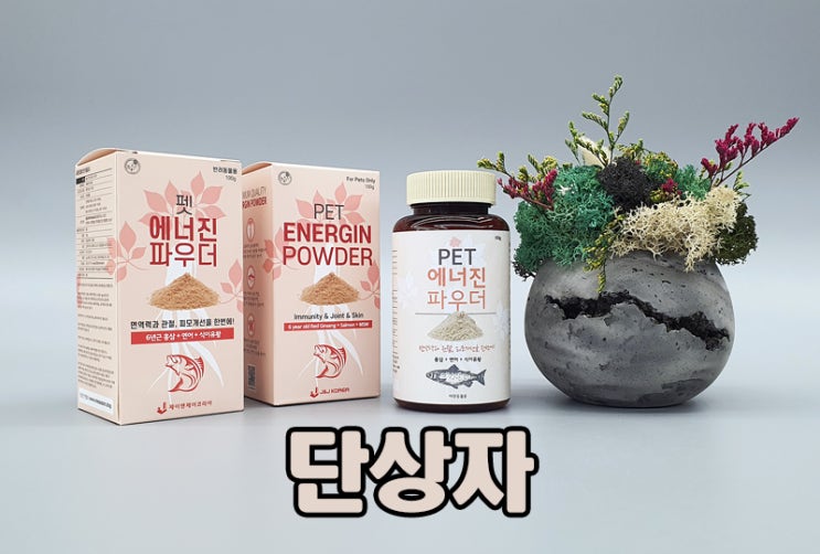 홍삼 파우더 제품박스 단상자로 제작하는 방법! 꿀팁은 여기요~:)