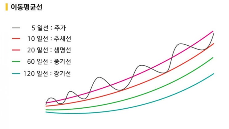  투자자의 심리가 만들어낸 이동평균선의 지지와 저항
