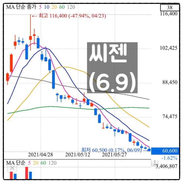  [미자의 주식일기] 씨젠(6.9)