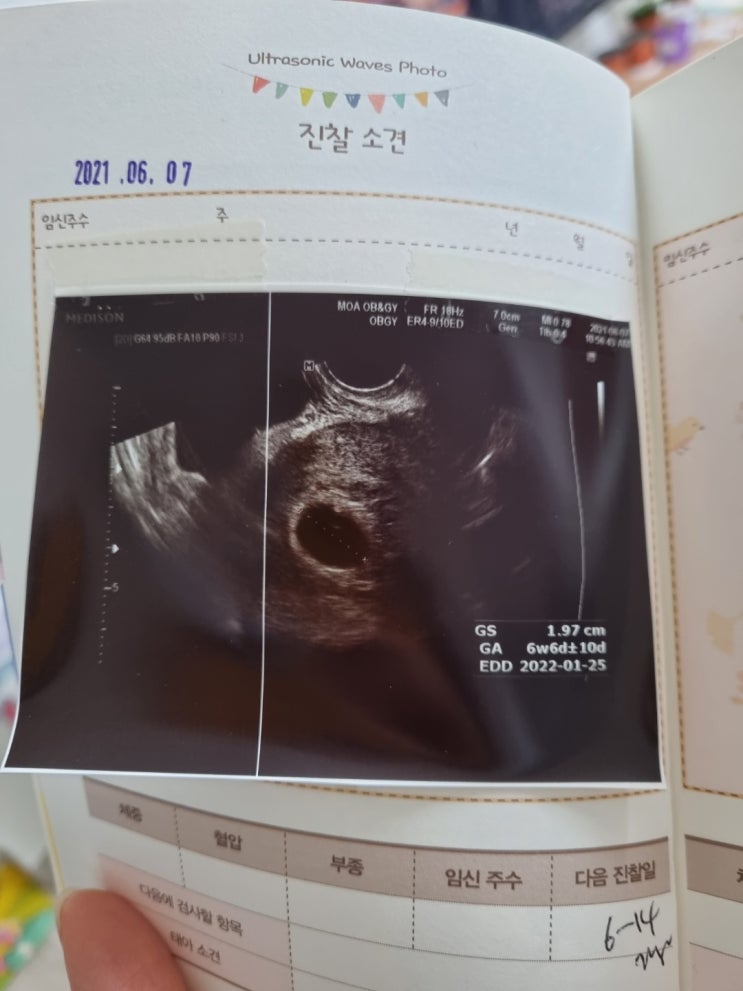  챌린지 종료 안내.(긴글 주의)