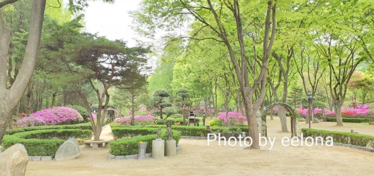  [가볼만한곳] 남경수목원 양주시 장흥면 서울근교 피크닉추천지 캠핑 애완견동반 냇가체험