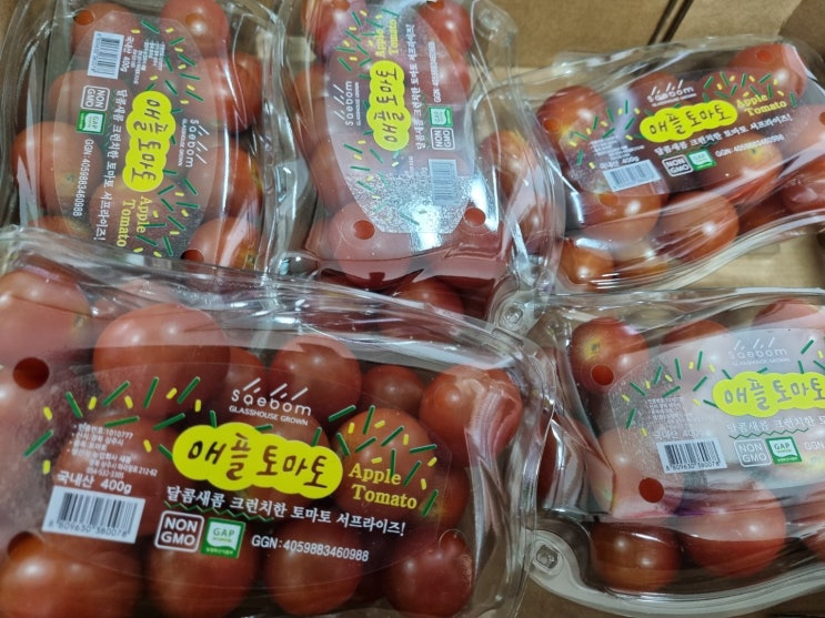 [애플 토마토] 방울토마토 보관법 꿀팁
