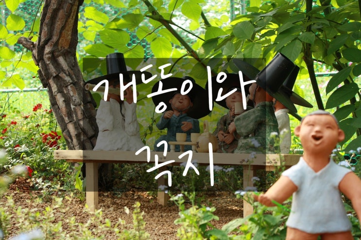  뿌리를 찾아서 그리고 율곡 이이의 관명 아명 자 호?