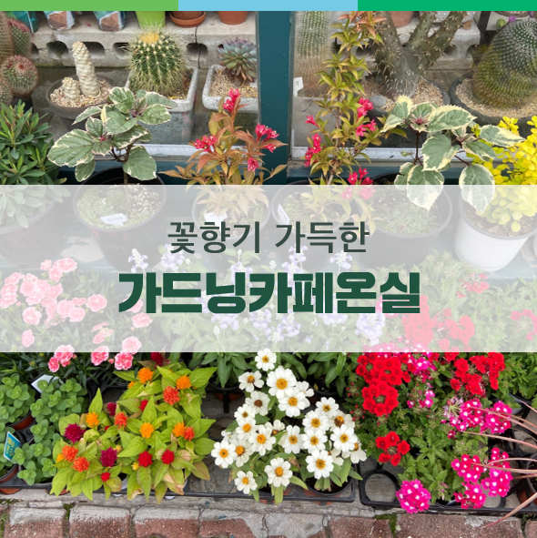 가드닝카페 온실 사진 1