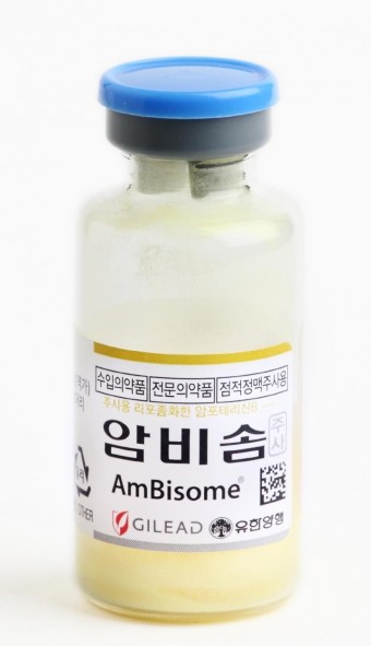  항진균제!! amphotericine B!