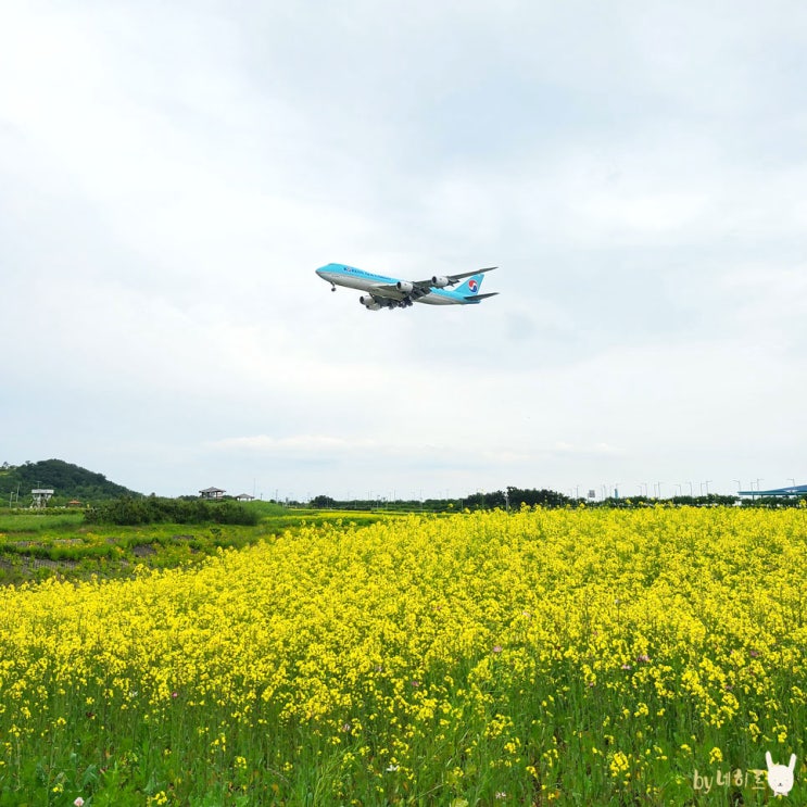 영종도 갈만한곳 인천공항 하늘정원 영종도 갈만한곳 인천공항 하늘정원