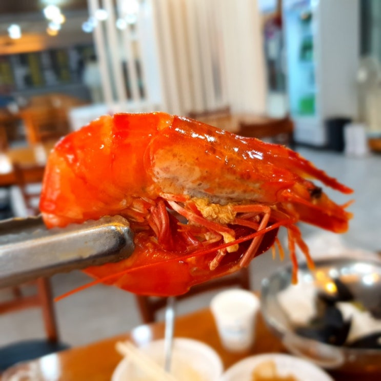  만만 회포차 만원회 라구요? 얼음동동 물회 끝내줘요