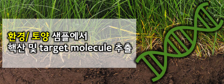  토양 샘플 준비 (Soil Sample Preparation)