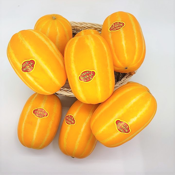 가성비 좋은 티에프마켓 성주 게르마늄 정품 참외 실속 랜덤과 3kg, 1box 추천해요 가성비 좋은 티에프마켓 성주 게르마늄 정품 참외 실속 랜덤과 3kg, 1box 추천해요