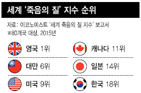 완화의료호스피스 비교차이점 말기암임종환자 프로그램원칙철학 전인간호