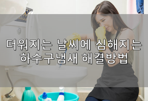  화장실냄새 하수구냄새 해결방법