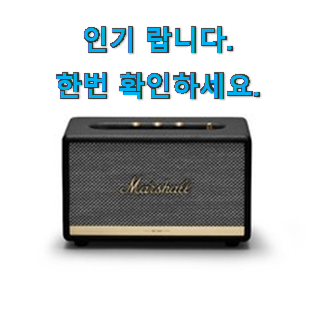  선물같은 마샬 스피커 액톤2 제품 안사곤 못 참겠어요 ㅋㅋ