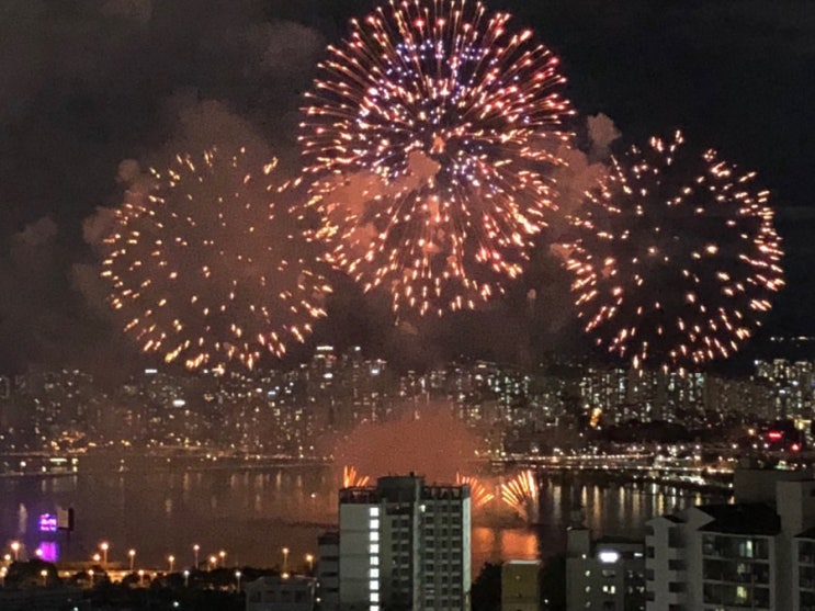  10월 가을밤! 여의도 세계불꽃축제 가능할까?