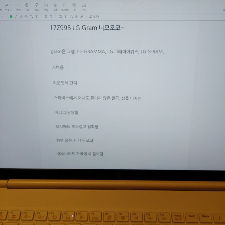  엘지 그램 17인치 노트북 17Z995 리뷰 및 사야 하는 이유 정리