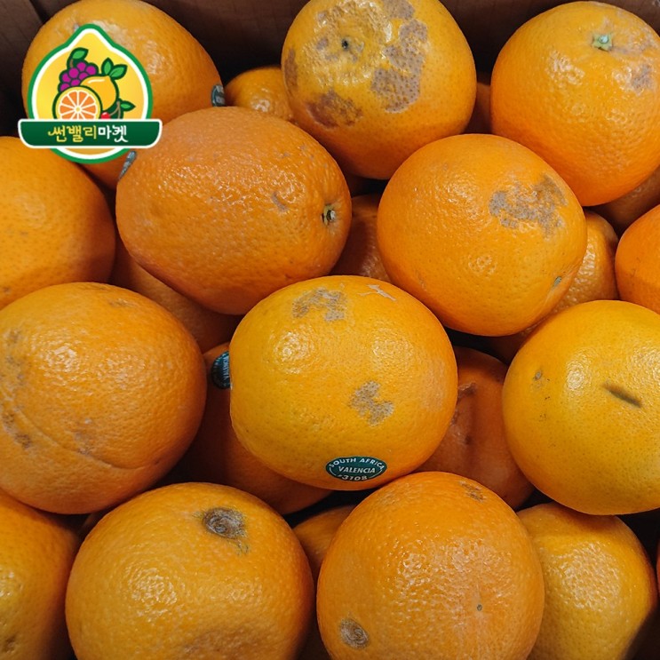 많이 팔린 썬밸리마켓 못난이 오렌지 레몬 자몽 대용량 15kg, 1box, 못난이 오렌지 15kg 좋아요