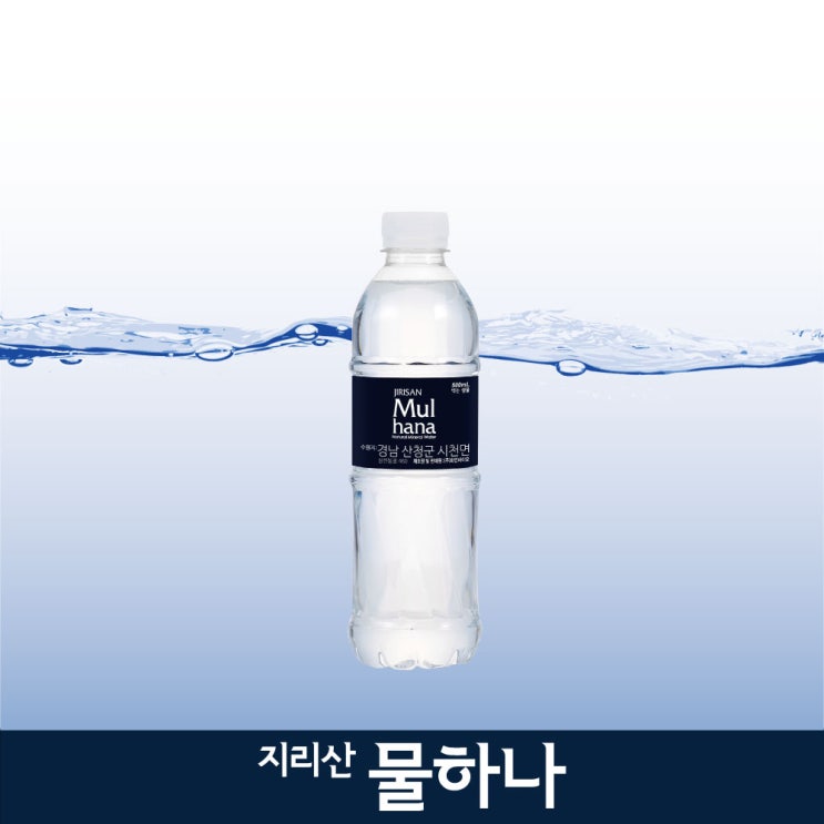 가성비갑 지리산물하나, 40개, 500ml 추천합니다