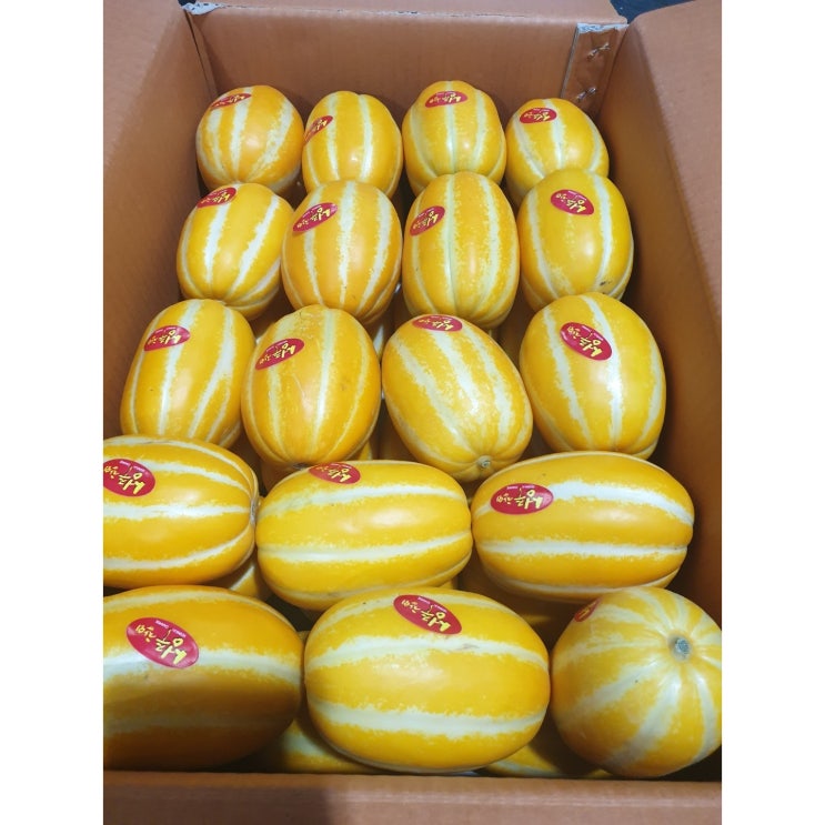 많이 찾는 산지직송 당도선별 석군성주참외 5.5kg, 성주참외 가정용 5.5kg 꼬마(28-36개 내외) ··· 많이 찾는 산지직송 당도선별 석군성주참외 5.5kg, 성주참외 가정용 5.5kg 꼬마(28-36개 내외) ···