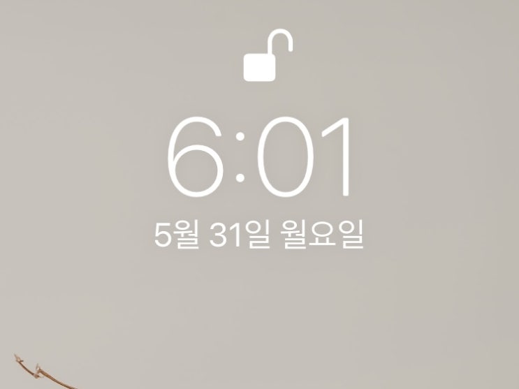 [습관만들기] 미라클 모닝 WEEK 3