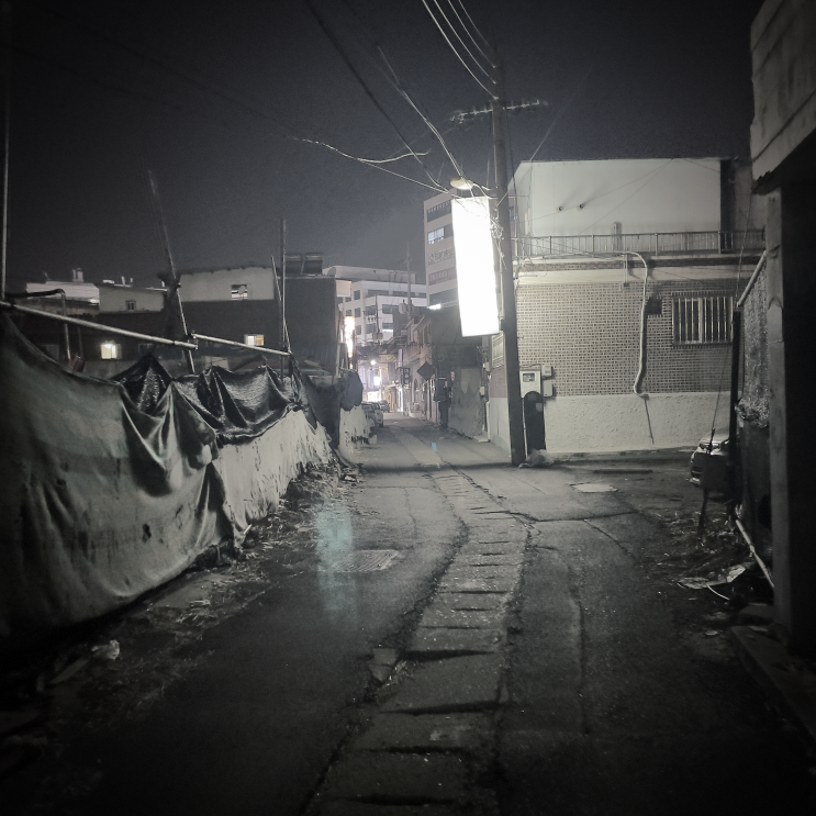  순수_정이현