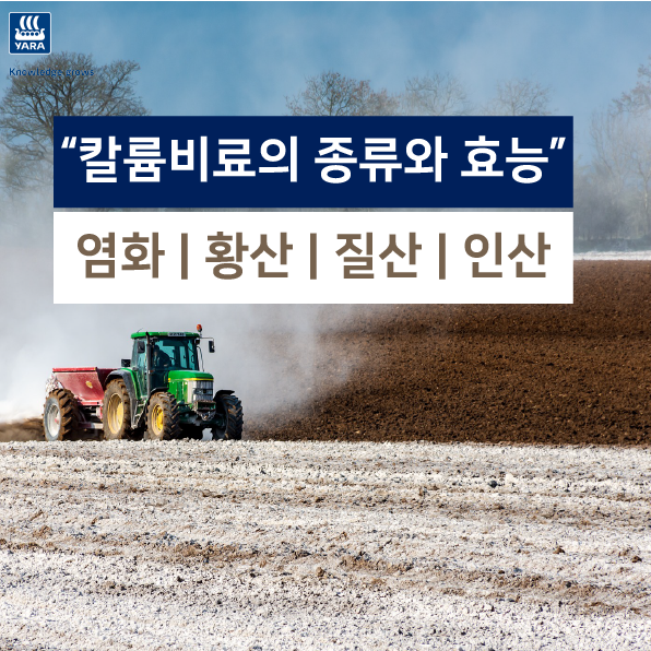 칼륨비료의 종류와 효능 - 염화가리? 황산가리? 질산가리? 인산가리? | 농사100단