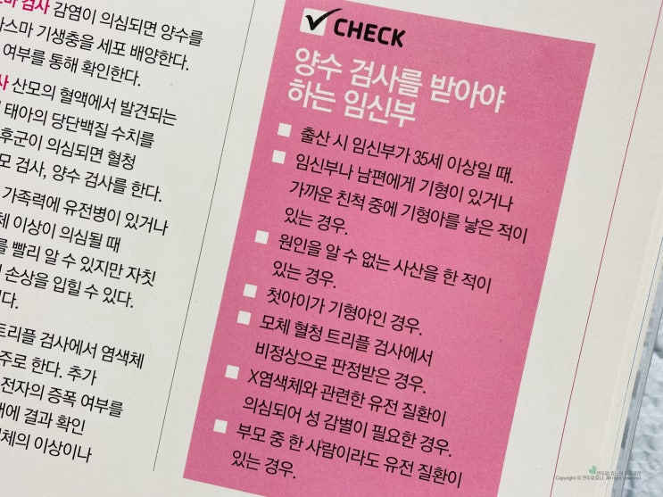 니프티검사 양수검사 부작용 결과 비용 기형아검사 니프티검사 양수검사 부작용 결과 비용 기형아검사