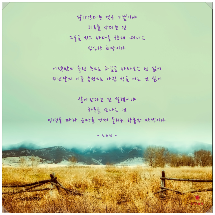  살아간다는 것은 기쁨이야 (조희선)