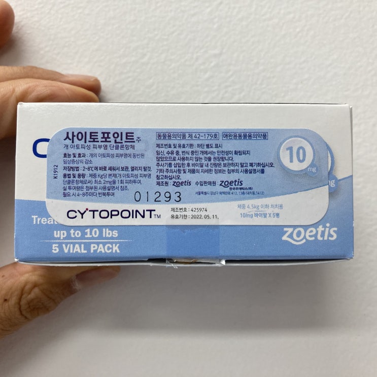  강아지 피부 신약, 사이토포인트? 마곡동 24시동물병원