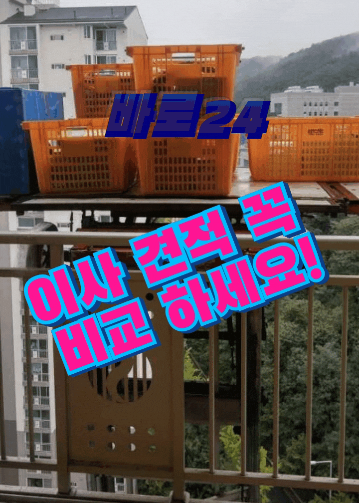  포장 이사 업체를 추천해 주는 전문업체 바로24