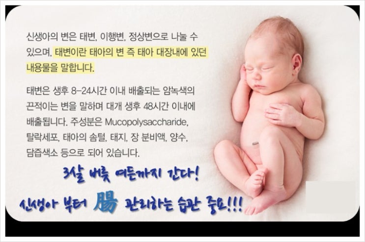  제노메딕스 장내미생물 검사