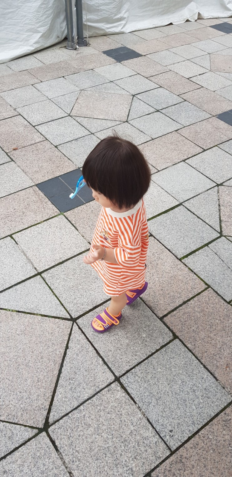  24개윌 육아일기 다람쥐가 뛰어간다