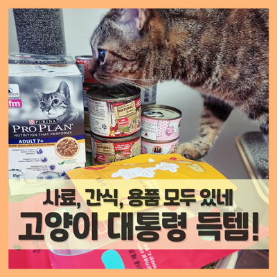  고양이대통령 쇼핑몰에서 할인 쿠폰과 스티커 받고 득템하자!