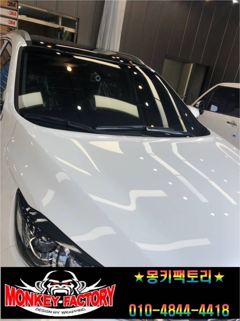 순천 남산로 / 랩핑 / 기아 / 쏘렌토