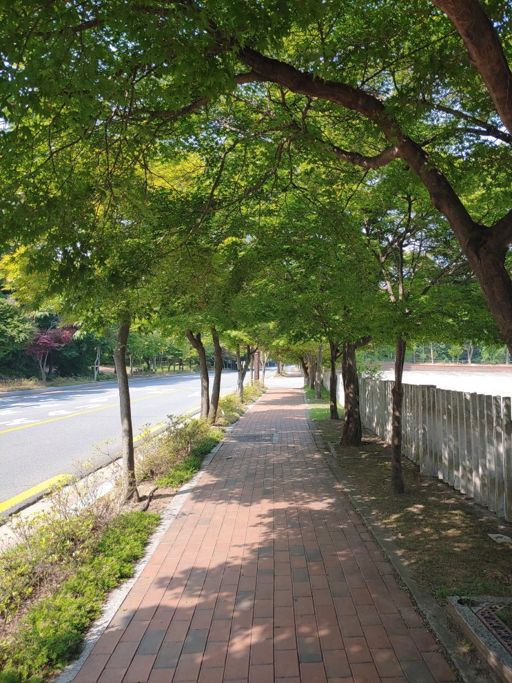  자기 자신을 개선하려고 노력하라