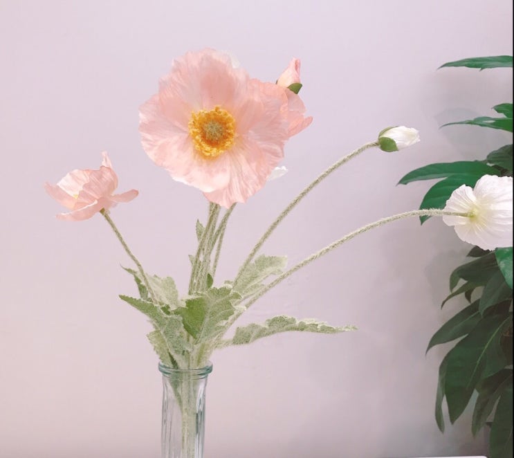  다시, 알찬하루 만들기~  (17일차)