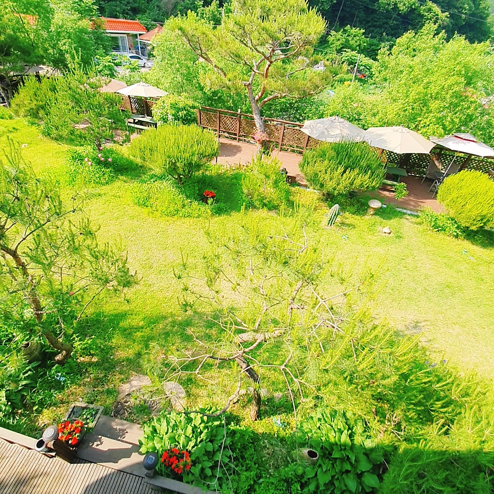 씨에스타펜션 사진 4